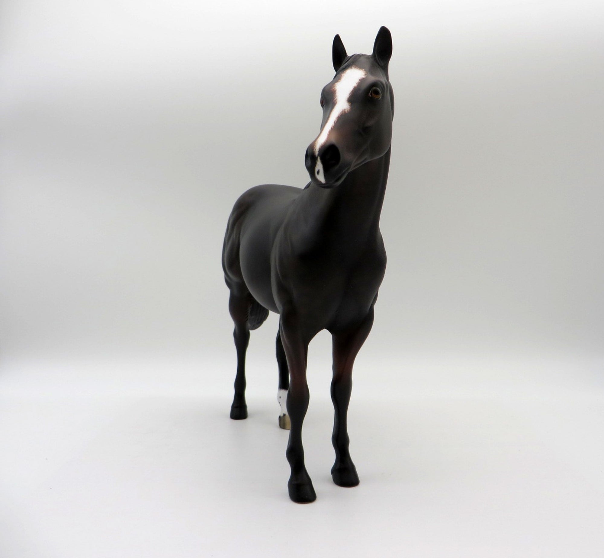 Tortilla-OOAK Dapple Bay ISH Painted By Ellen Robbins  5/28/21