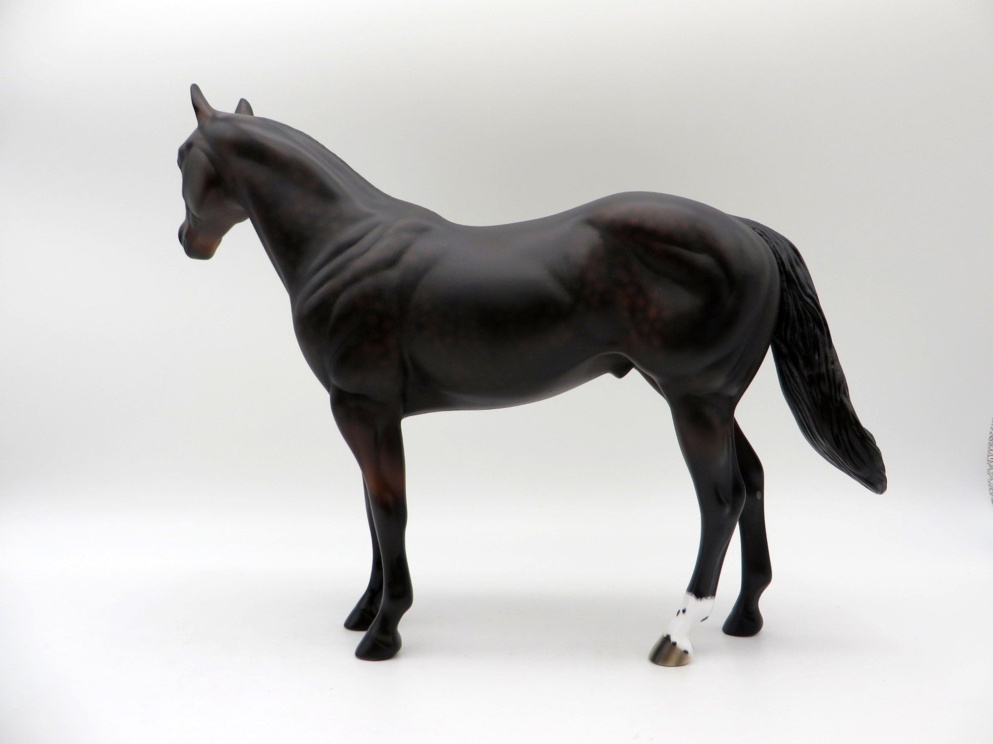 Tortilla-OOAK Dapple Bay ISH Painted By Ellen Robbins  5/28/21