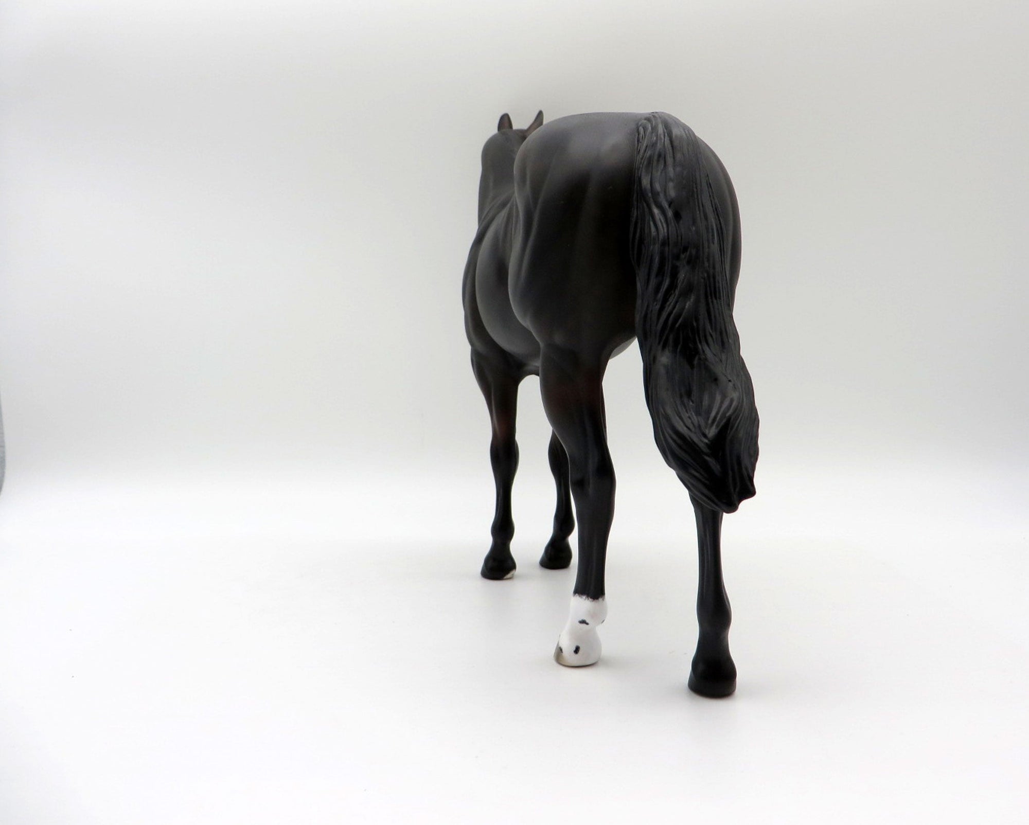 Tortilla-OOAK Dapple Bay ISH Painted By Ellen Robbins  5/28/21