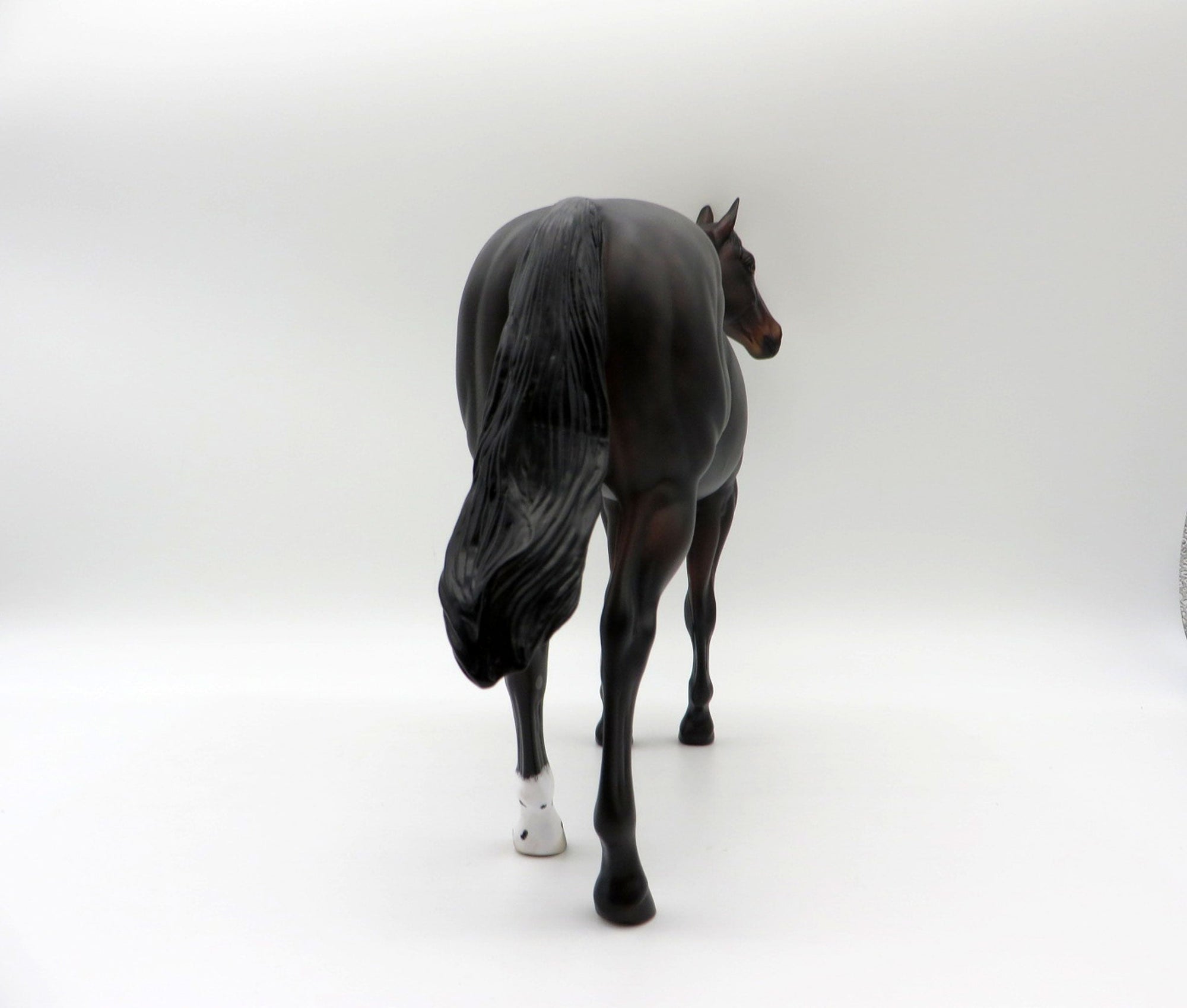 Tortilla-OOAK Dapple Bay ISH Painted By Ellen Robbins  5/28/21