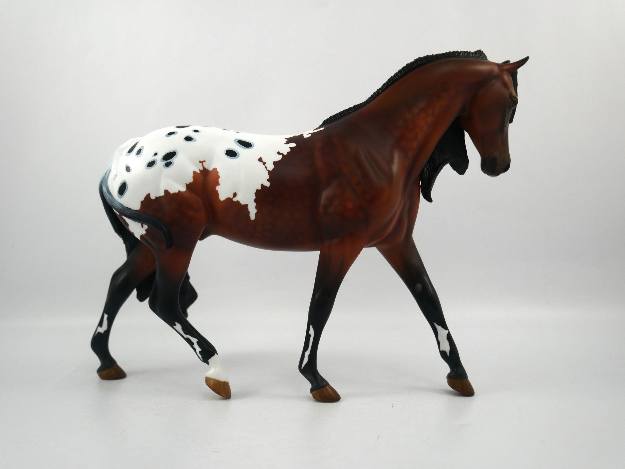 TOUCH DOWN-LE-7 APPALOOSA PONY  SB 21