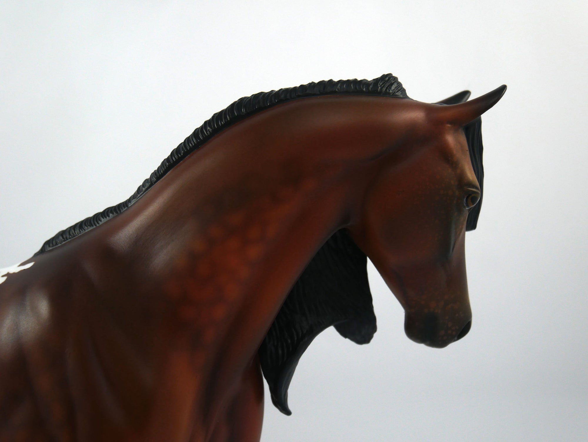 TOUCH DOWN-LE-7 APPALOOSA PONY  SB 21