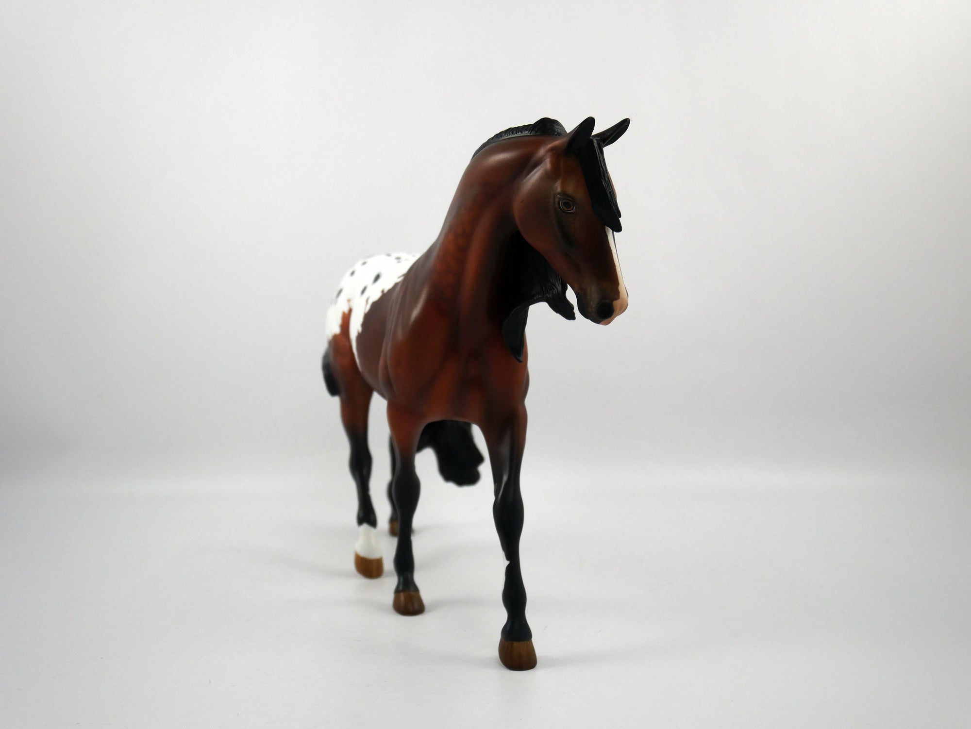TOUCH DOWN-LE-7 APPALOOSA PONY  SB 21