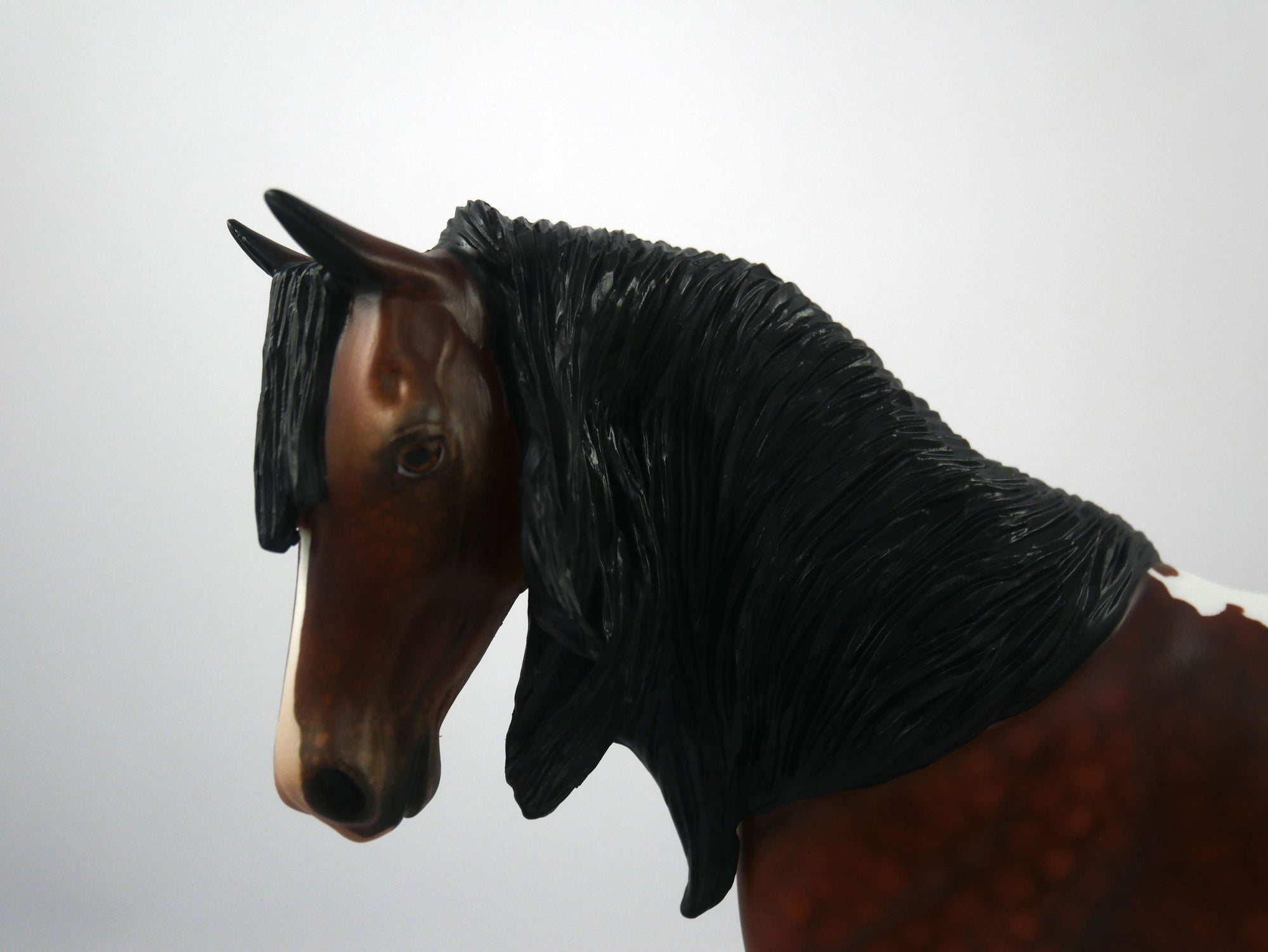 TOUCH DOWN-LE-7 APPALOOSA PONY  SB 21