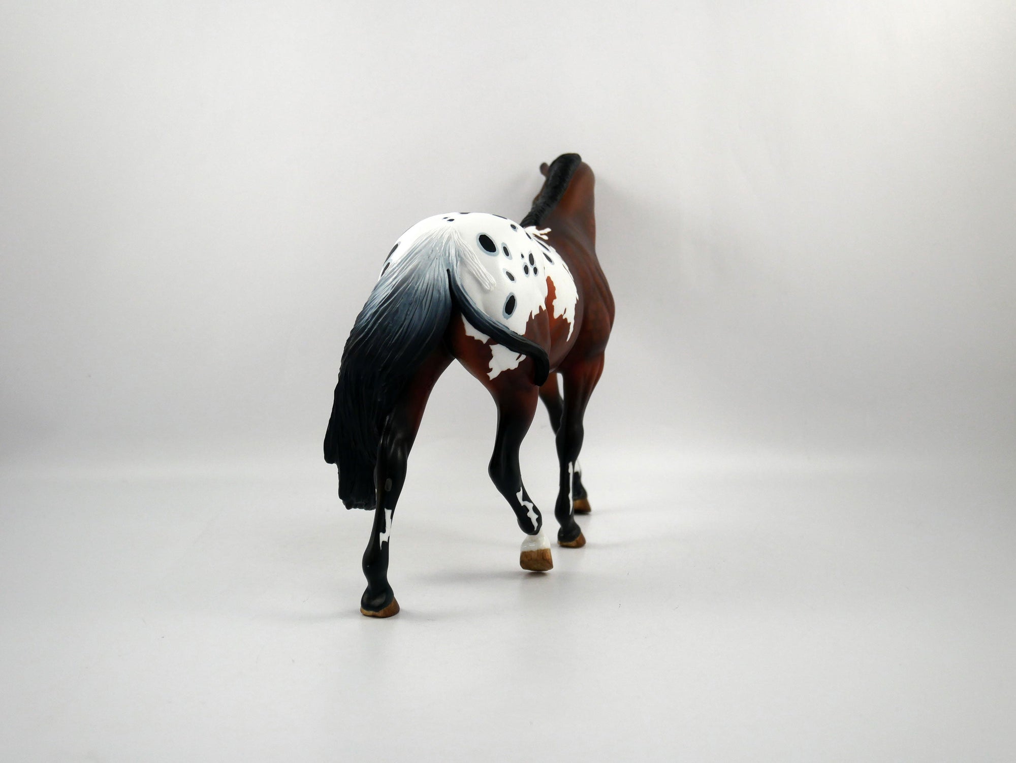 TOUCH DOWN-LE-7 APPALOOSA PONY  SB 21