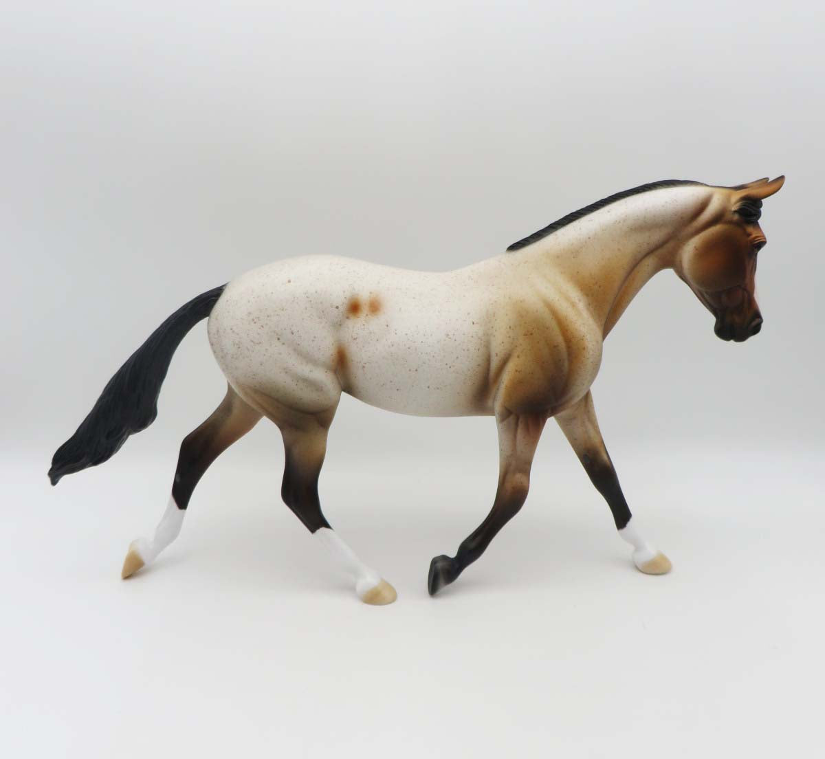 Townee OOAK Bay Roan Palouse By Dawn Quick SHCF23