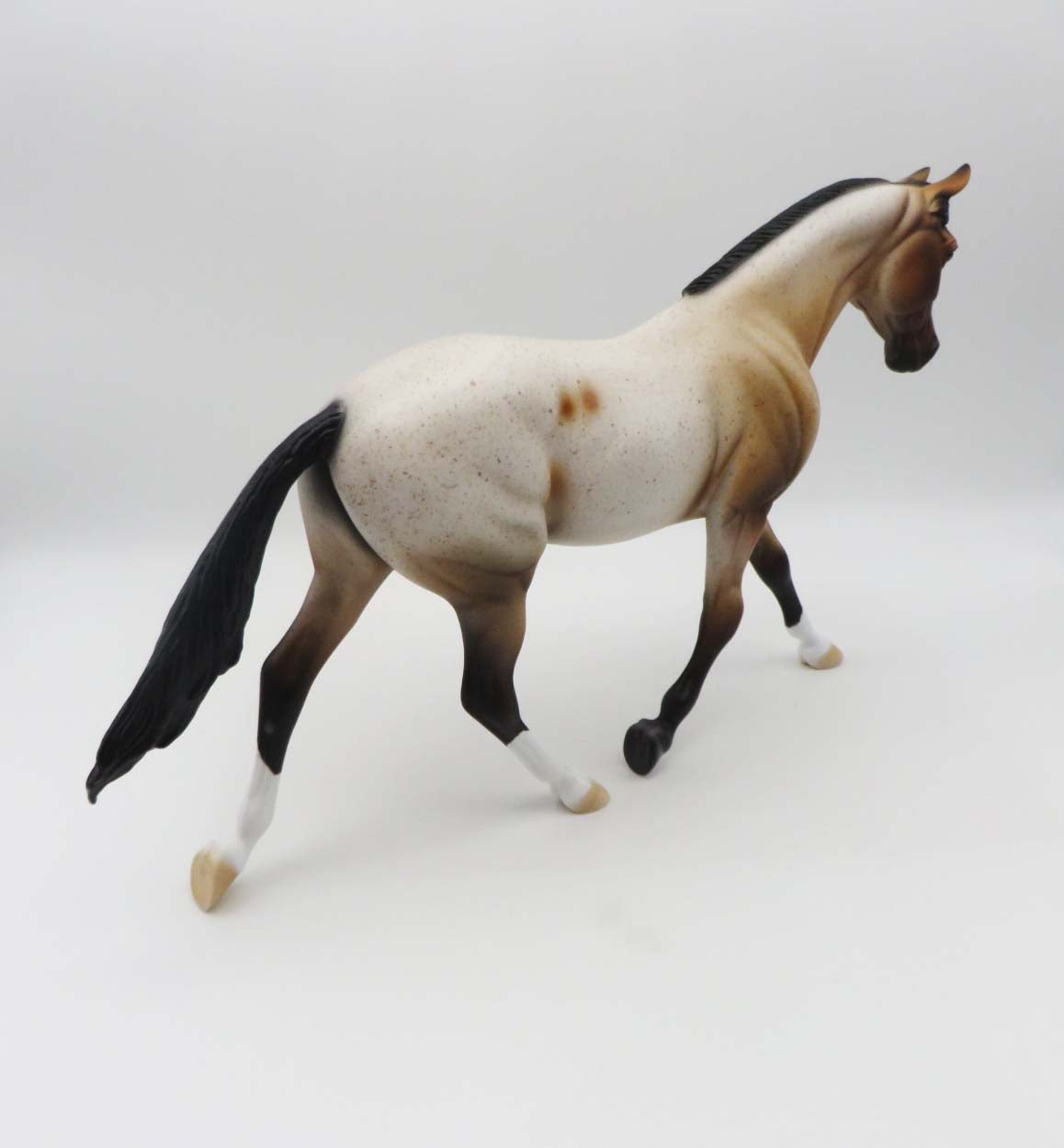 Townee OOAK Bay Roan Palouse By Dawn Quick SHCF23