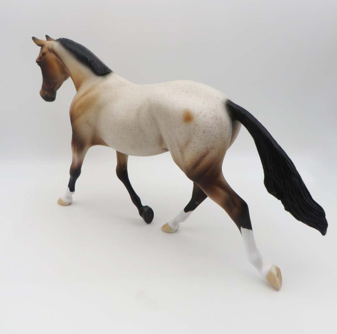 Townee OOAK Bay Roan Palouse By Dawn Quick SHCF23