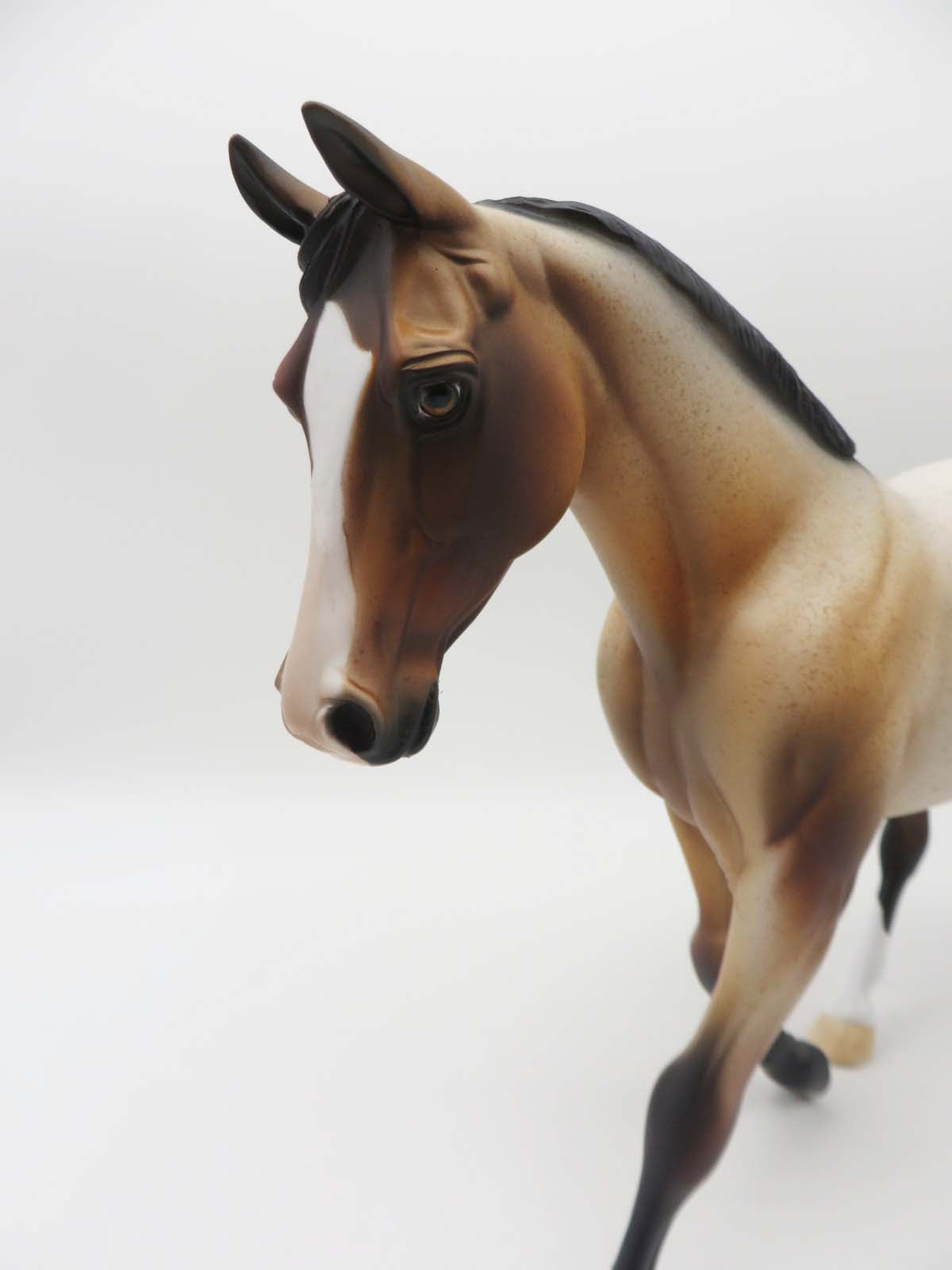 Townee OOAK Bay Roan Palouse By Dawn Quick SHCF23