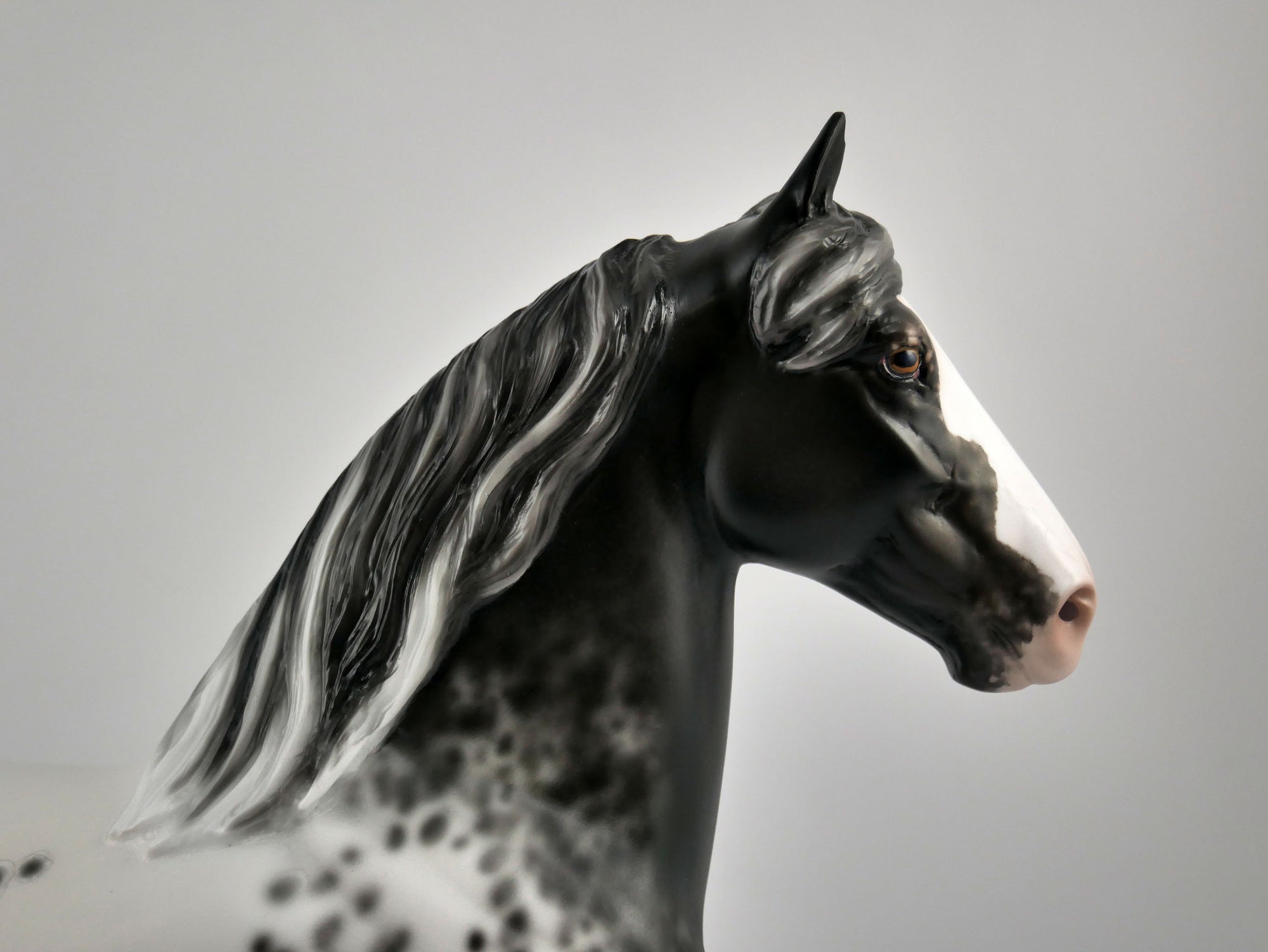 TRAHEM-OOAK BLACK APPALOOSA TROTTING DRAFTER BY SHERYL LEISURE 11/17/20