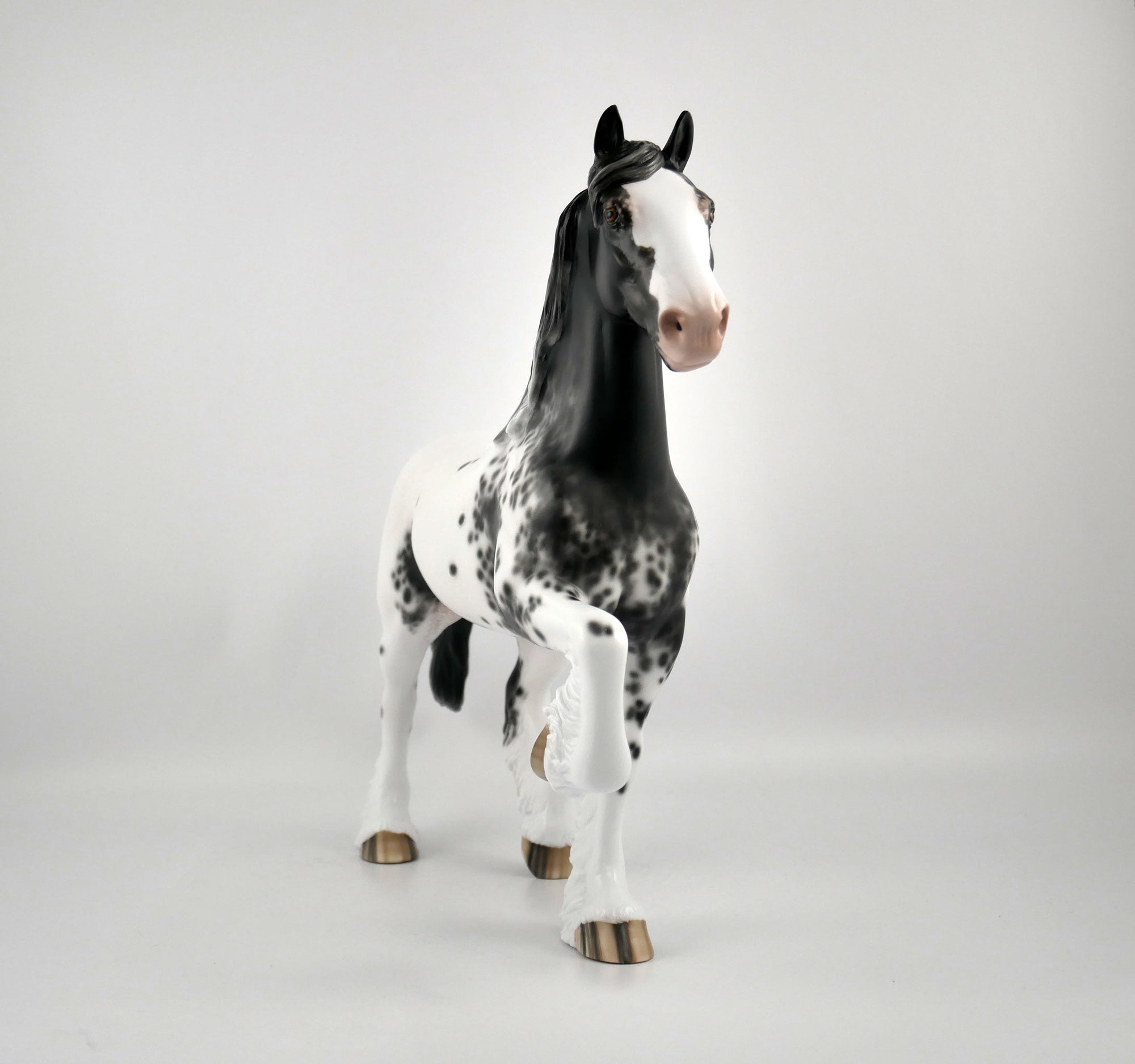 TRAHEM-OOAK BLACK APPALOOSA TROTTING DRAFTER BY SHERYL LEISURE 11/17/20