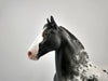 TRAHEM-OOAK BLACK APPALOOSA TROTTING DRAFTER BY SHERYL LEISURE 11/17/20
