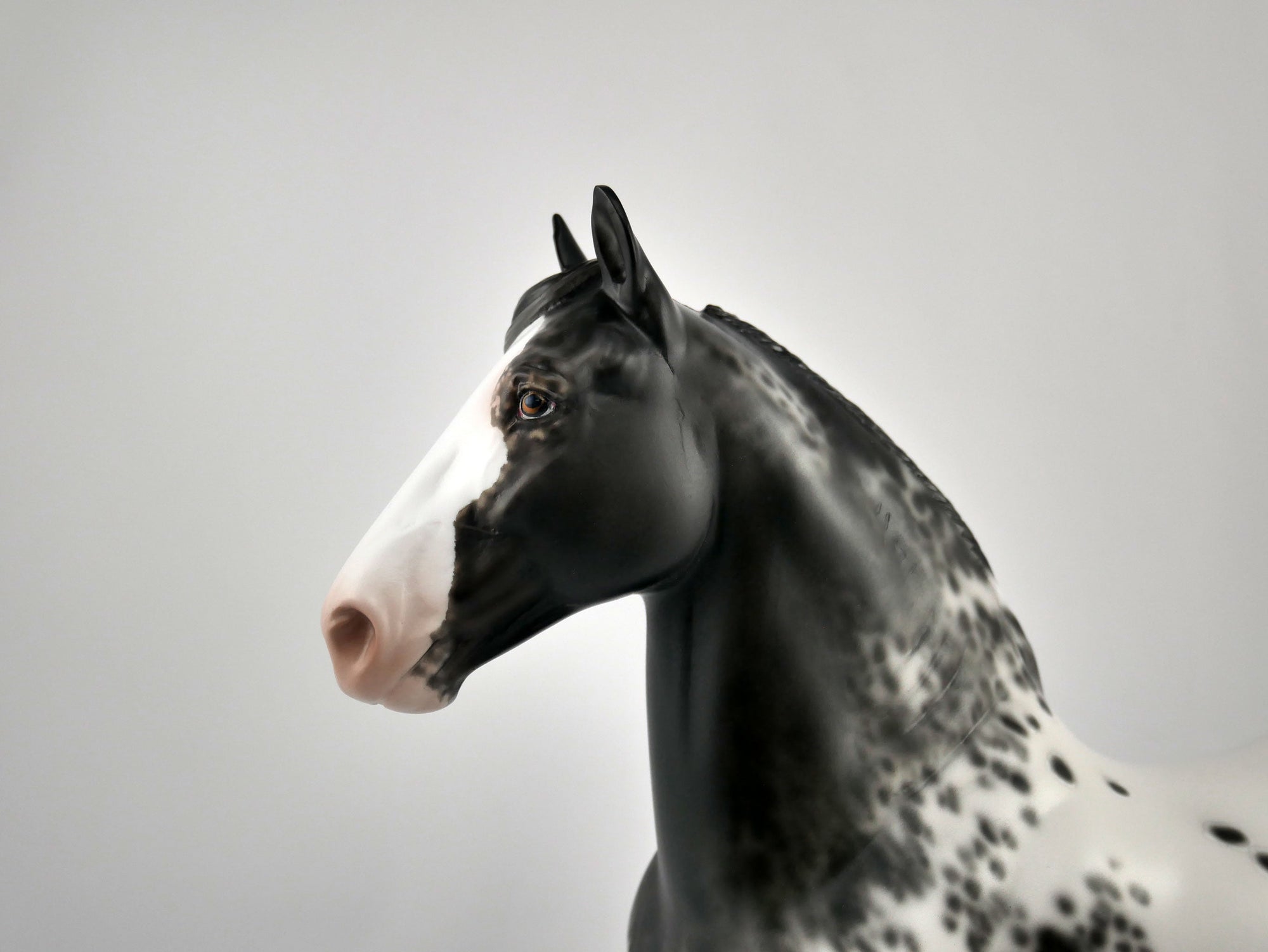 TRAHEM-OOAK BLACK APPALOOSA TROTTING DRAFTER BY SHERYL LEISURE 11/17/20