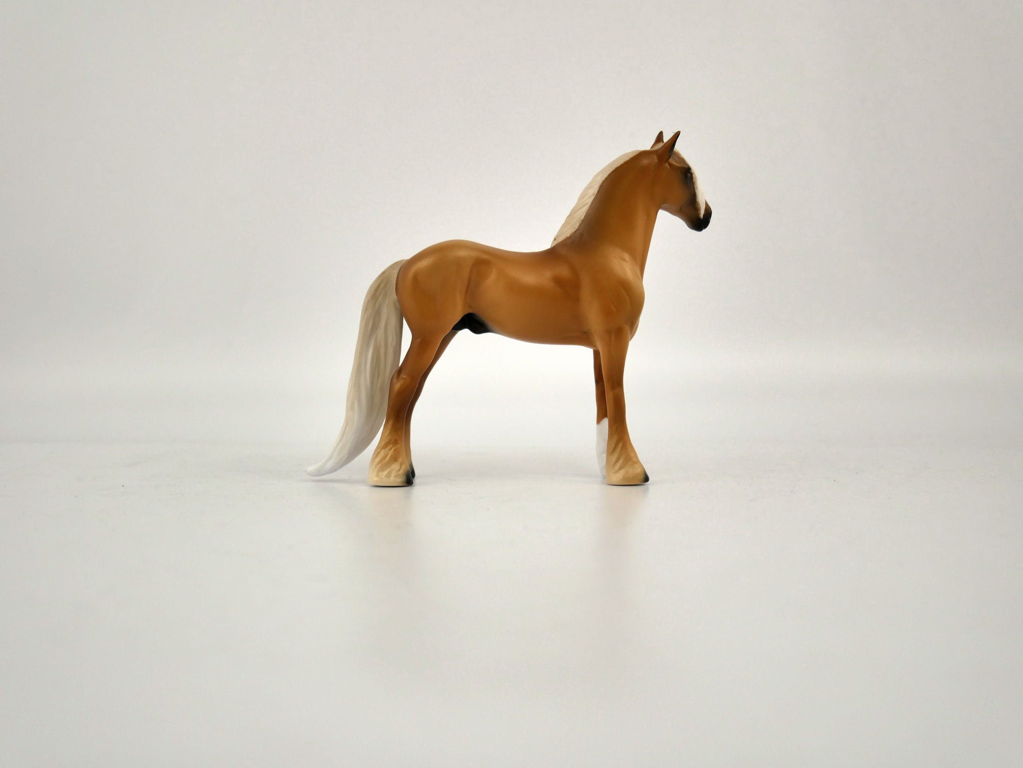 What is inside the Box&gt; Trapper 12/20