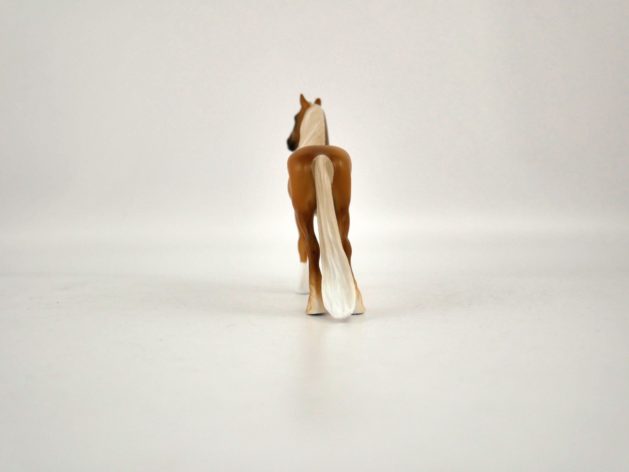 What is inside the Box&gt; Trapper 12/20