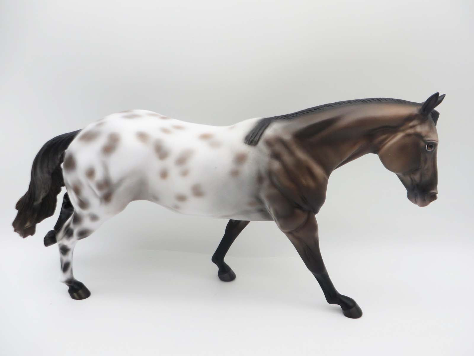 Trelawny - OOAK - Bay Appaloosa Remington By Jess Hamill - SHCF23