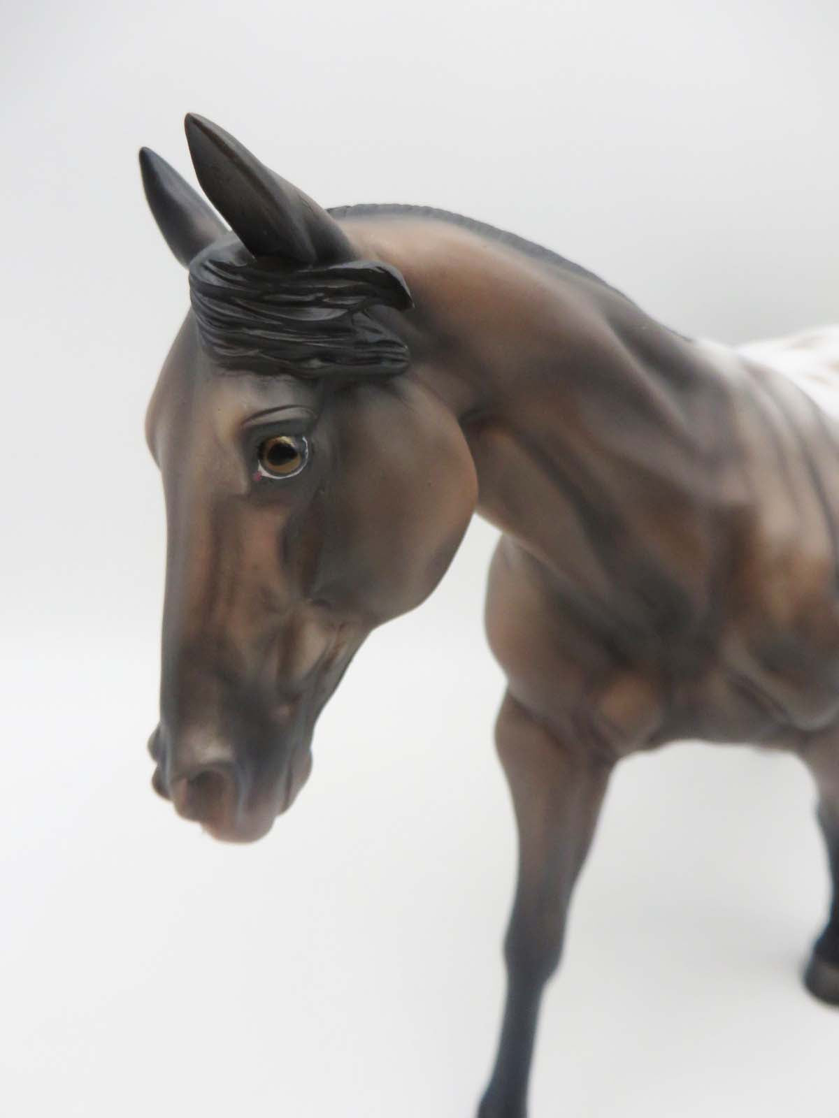 Trelawny - OOAK - Bay Appaloosa Remington By Jess Hamill - SHCF23