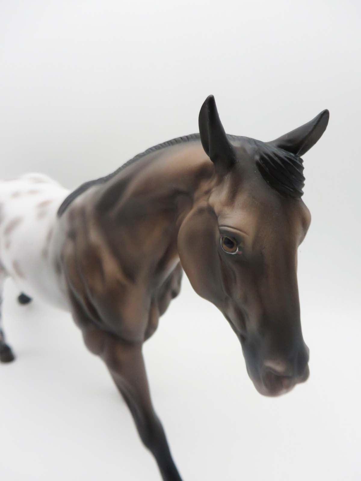 Trelawny - OOAK - Bay Appaloosa Remington By Jess Hamill - SHCF23