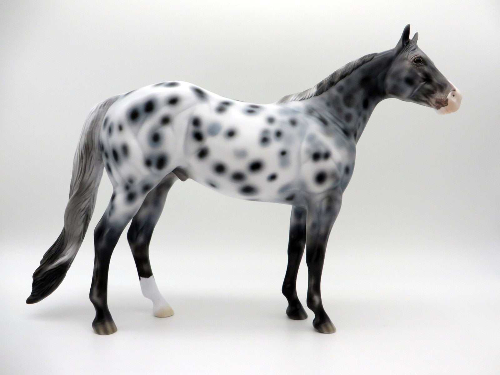 Triton-OOAK Appaloosa ISH SHCF 2021