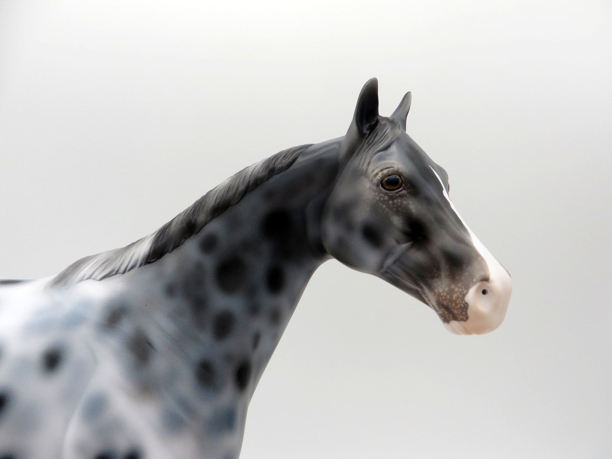 Triton-OOAK Appaloosa ISH SHCF 2021