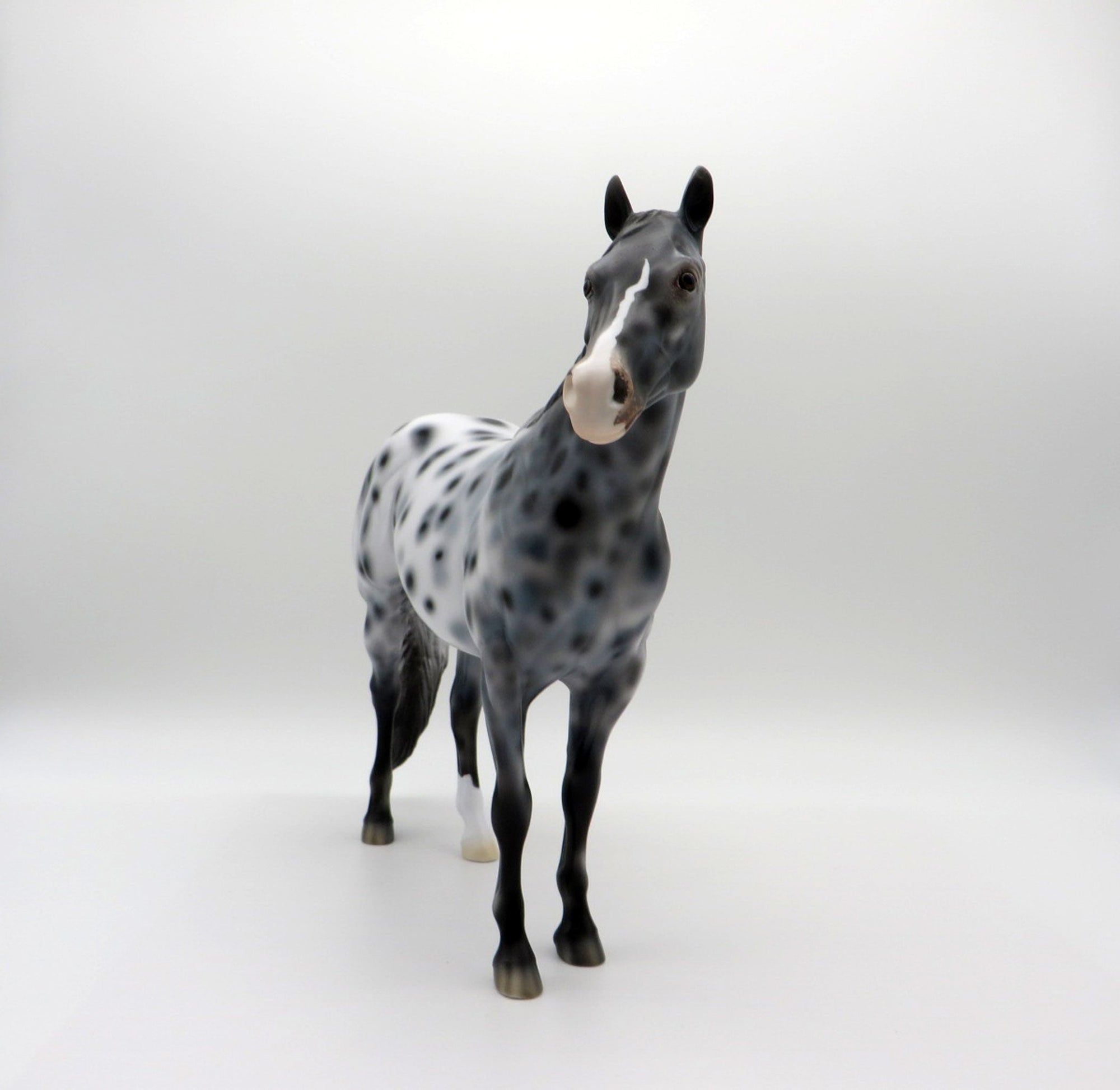 Triton-OOAK Appaloosa ISH SHCF 2021