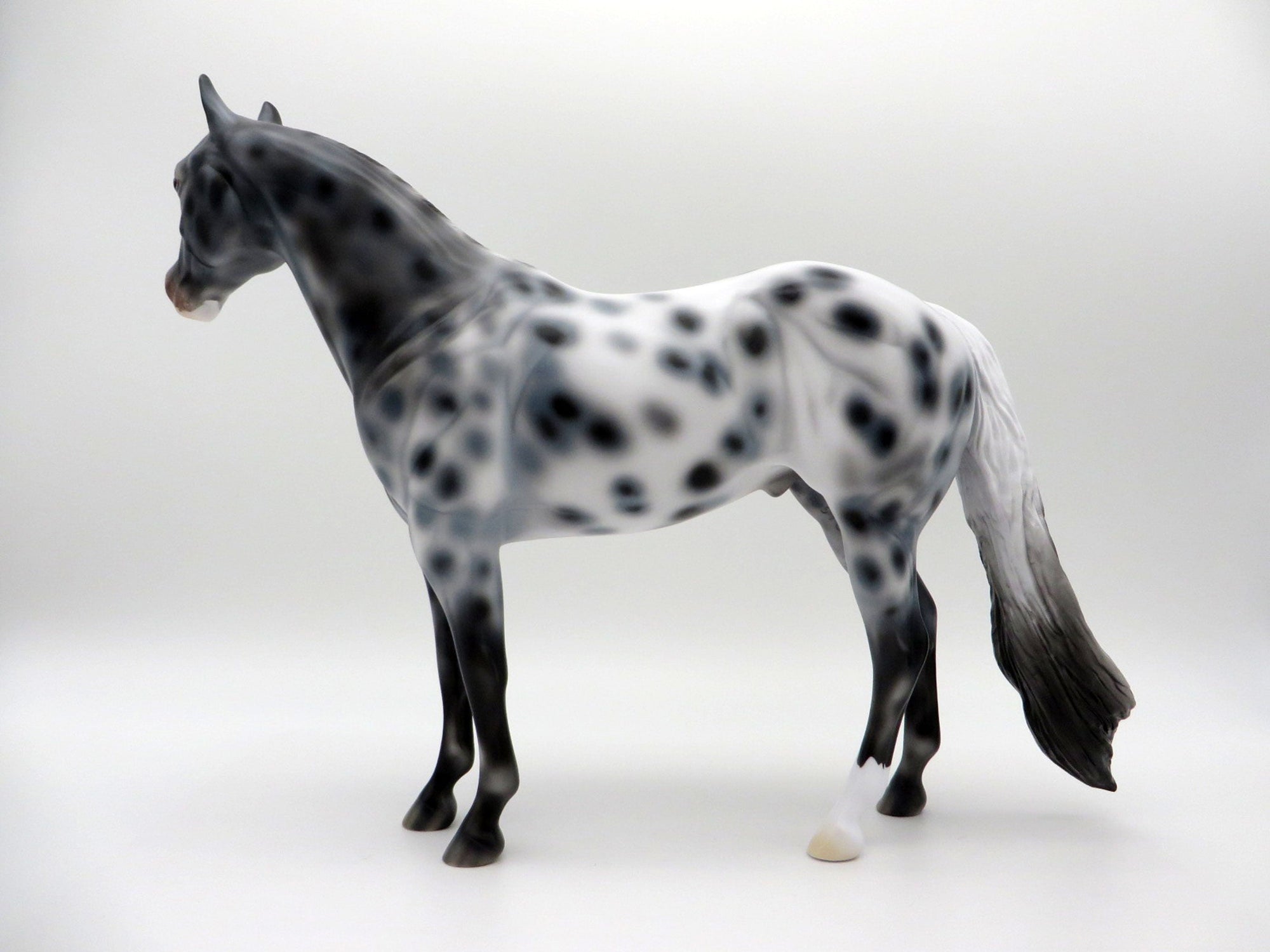 Triton-OOAK Appaloosa ISH SHCF 2021