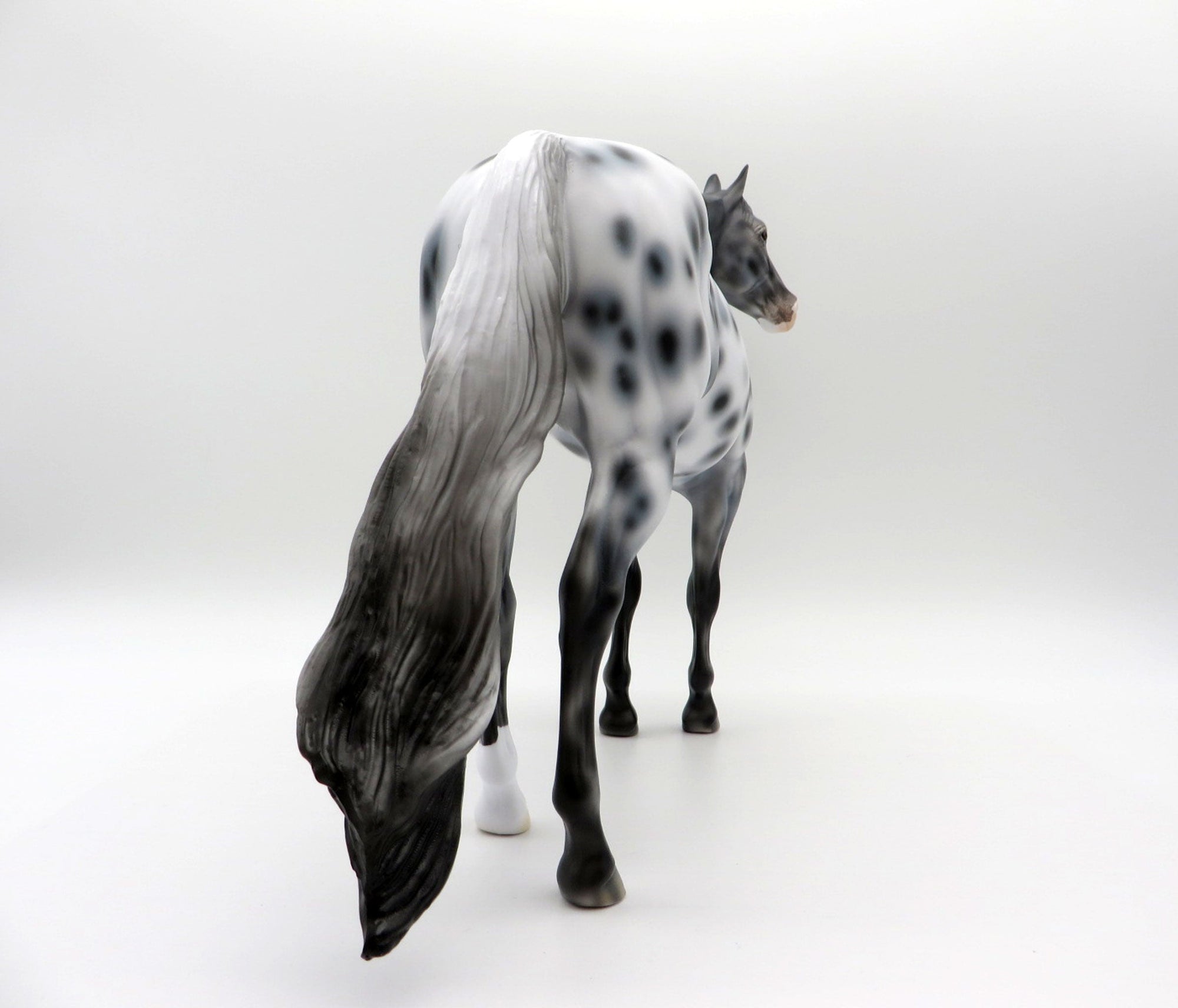 Triton-OOAK Appaloosa ISH SHCF 2021