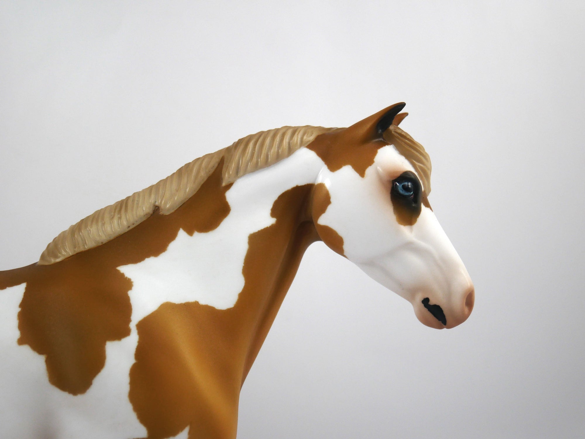 Trophy-OOAK Palomino Paint Mustang Painted by Audrey Dixon SB21