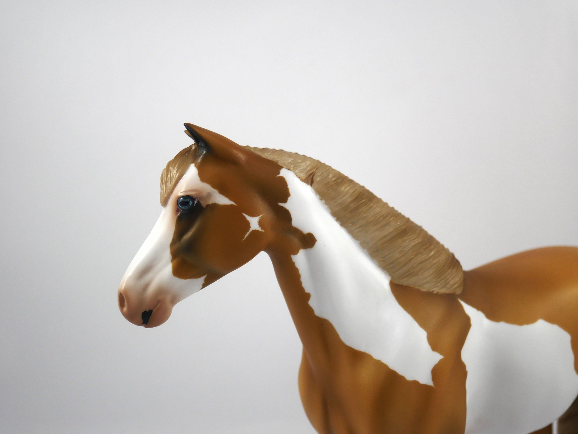 Trophy-OOAK Palomino Paint Mustang Painted by Audrey Dixon SB21