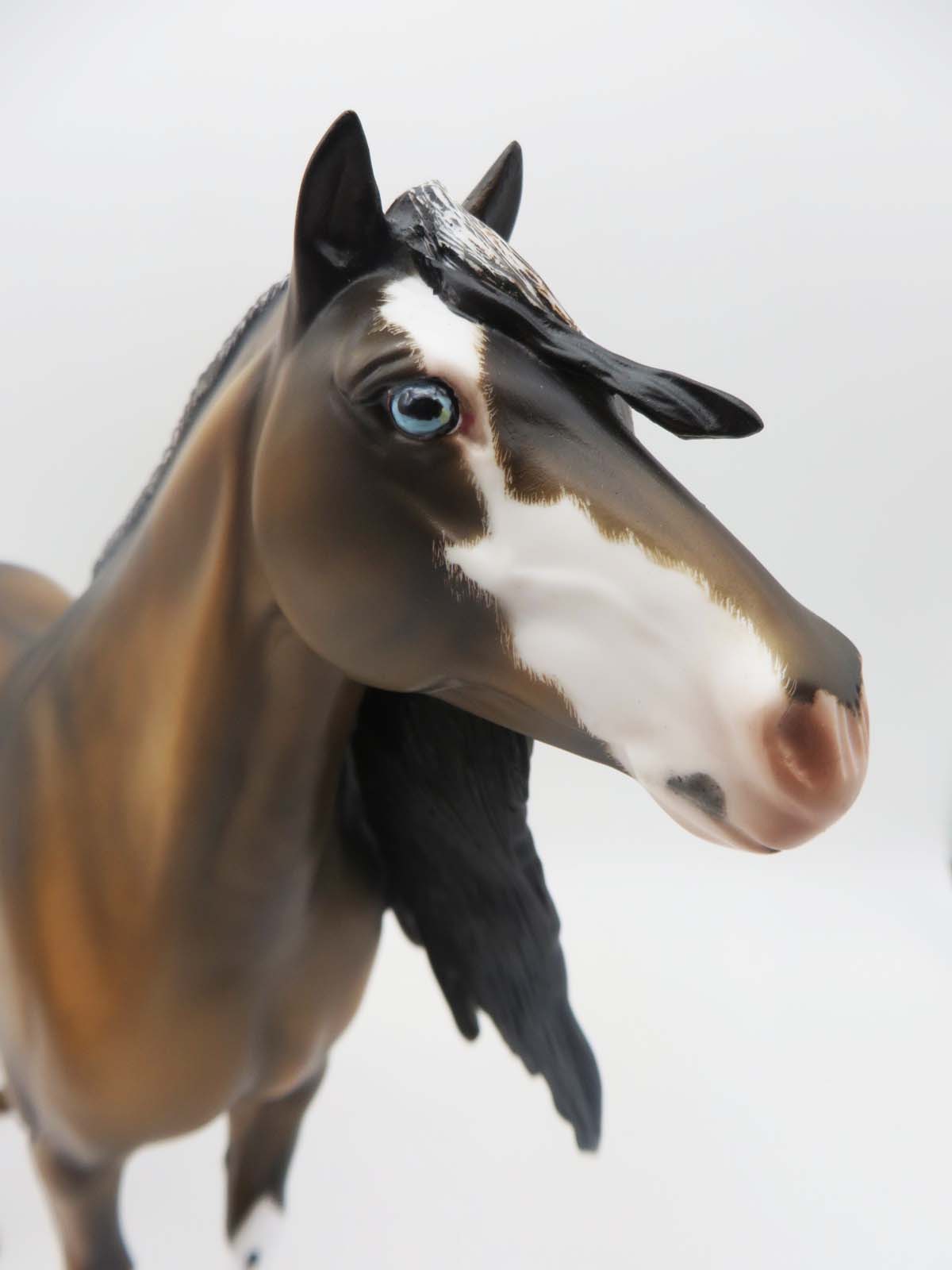 Truett- OOAK - Bay Dun Spanish Mustang By Julie Keim - Best Offer 4/10/23