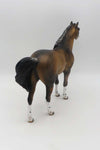 Truett- OOAK - Bay Dun Spanish Mustang By Julie Keim - Best Offer 4/10/23