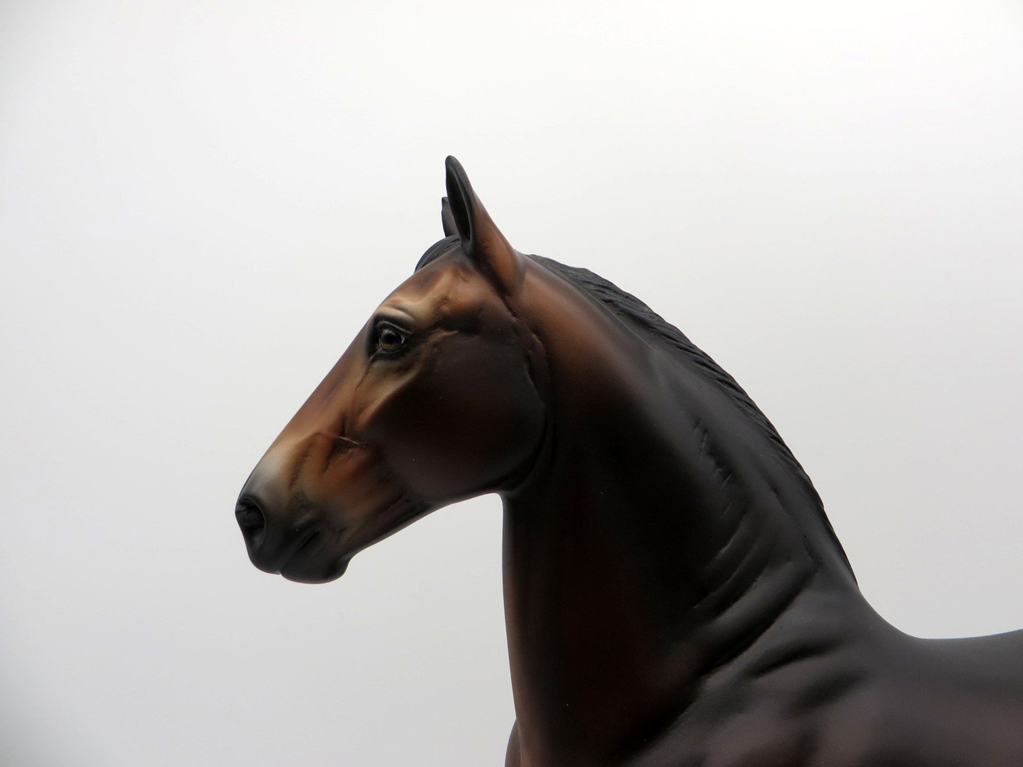 Tumble Bug-OOAK Bay Drafter 5/17/21