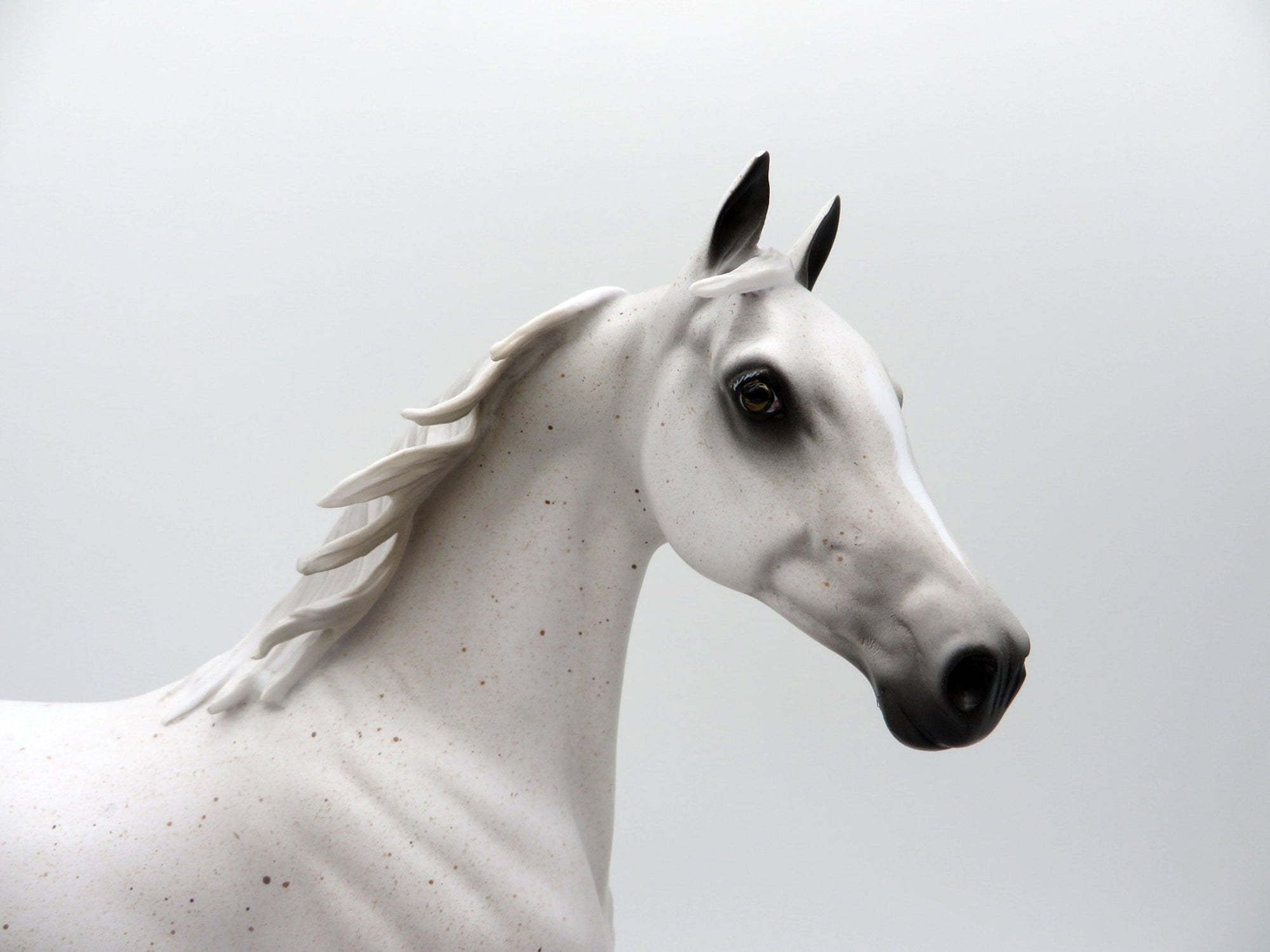 Turbo Bungy-OOAK Bloody Shoulder Arabian Mare Painted By Sheryl Leisure  5/24/21