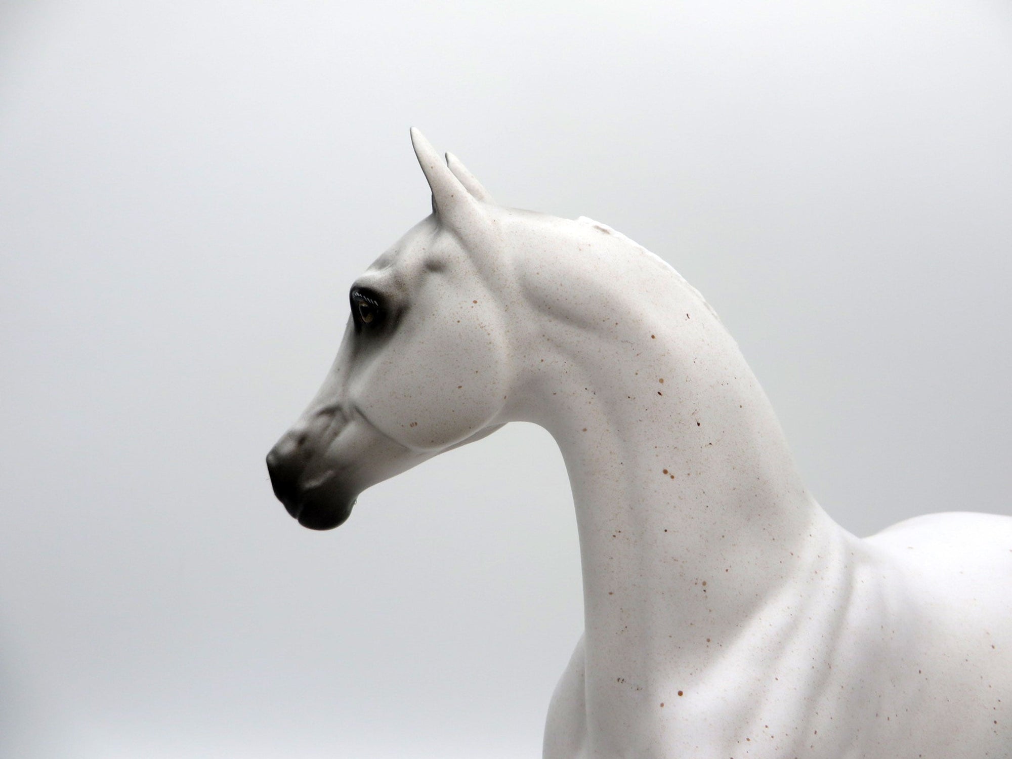 Turbo Bungy-OOAK Bloody Shoulder Arabian Mare Painted By Sheryl Leisure  5/24/21