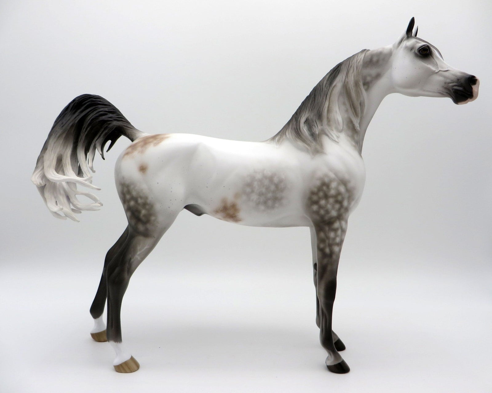 Turbo Drop-OOAK Arabian Bloody Shoulder 5/11/21