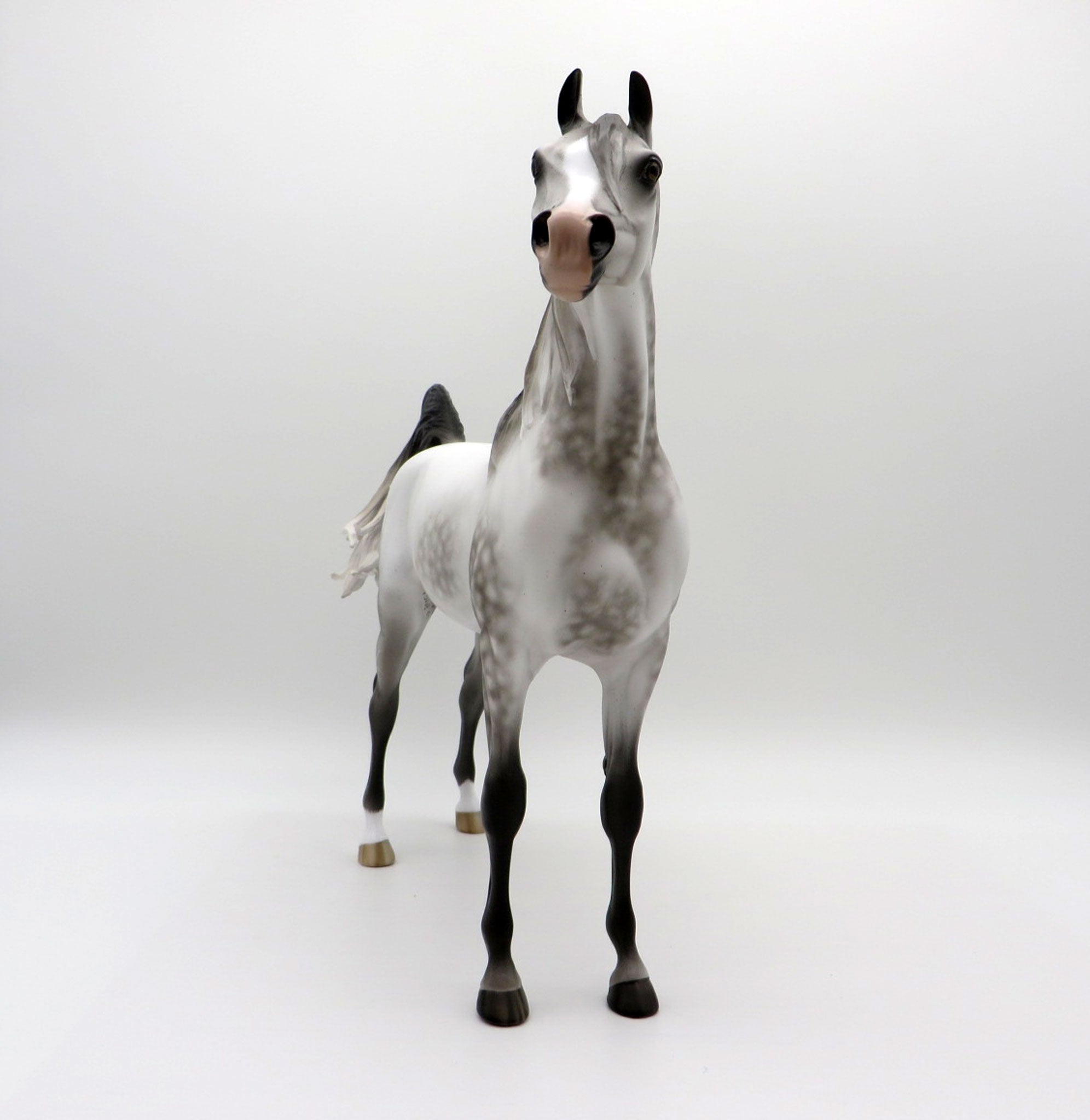 Turbo Drop-OOAK Arabian Bloody Shoulder 5/11/21