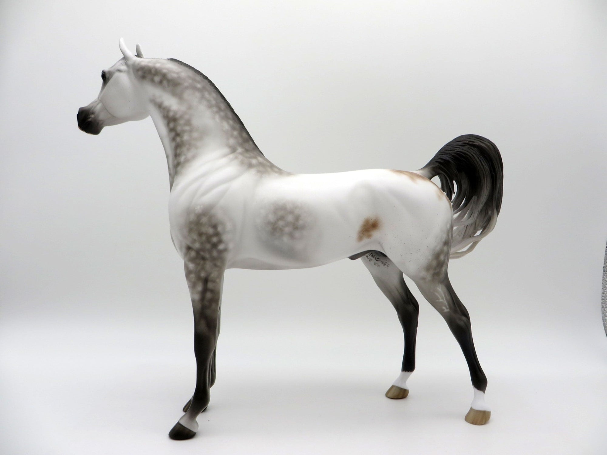 Turbo Drop-OOAK Arabian Bloody Shoulder 5/11/21