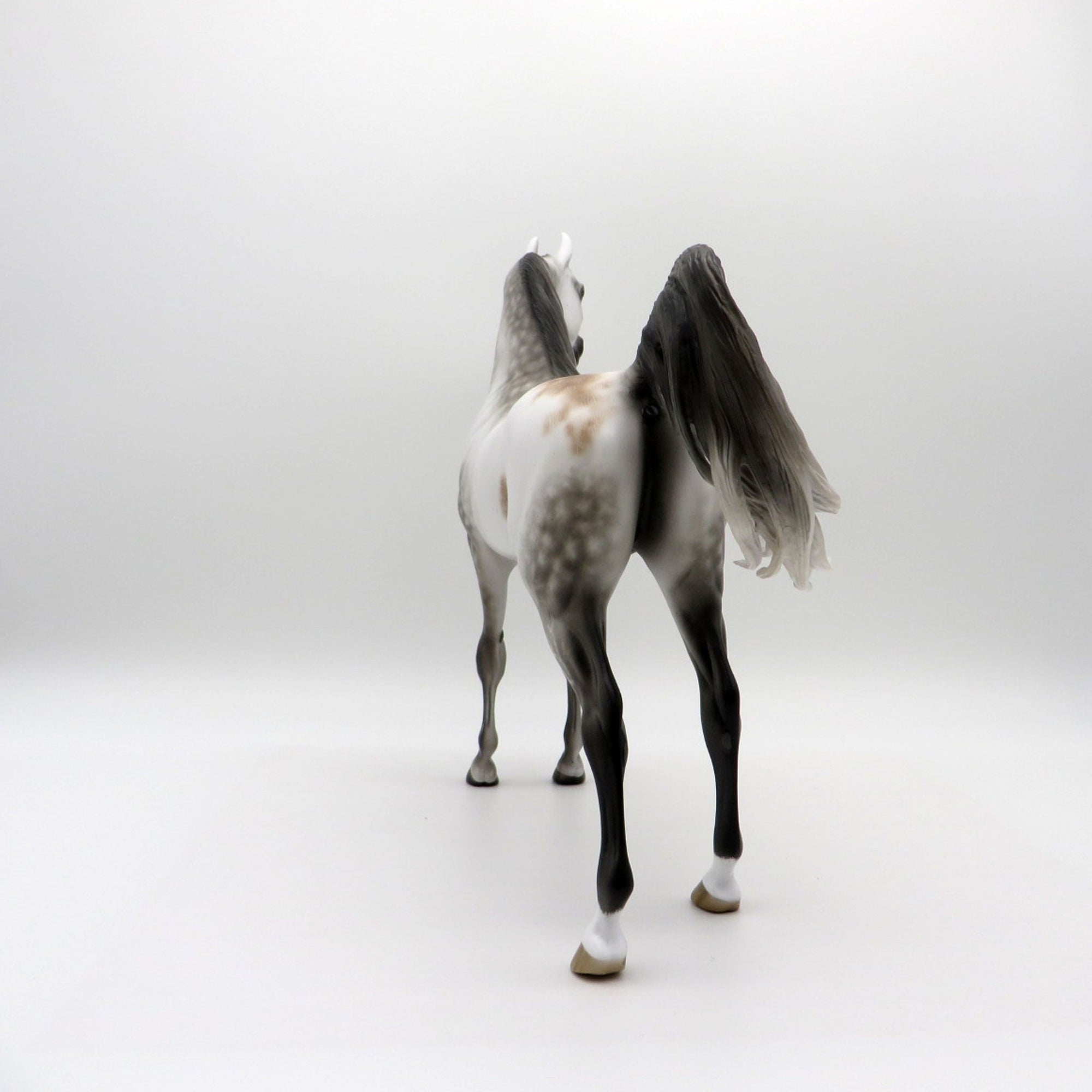 Turbo Drop-OOAK Arabian Bloody Shoulder 5/11/21