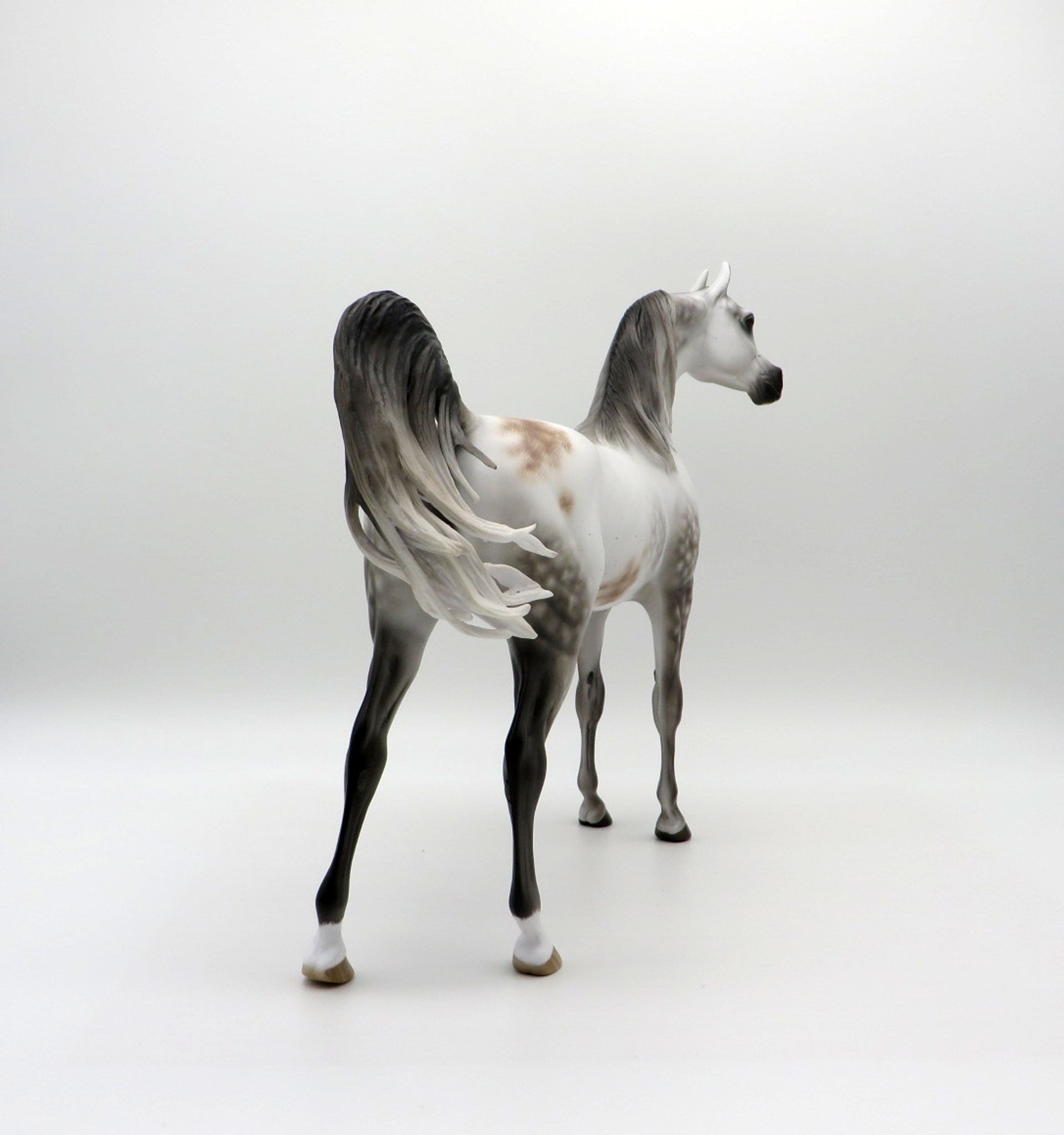 Turbo Drop-OOAK Arabian Bloody Shoulder 5/11/21