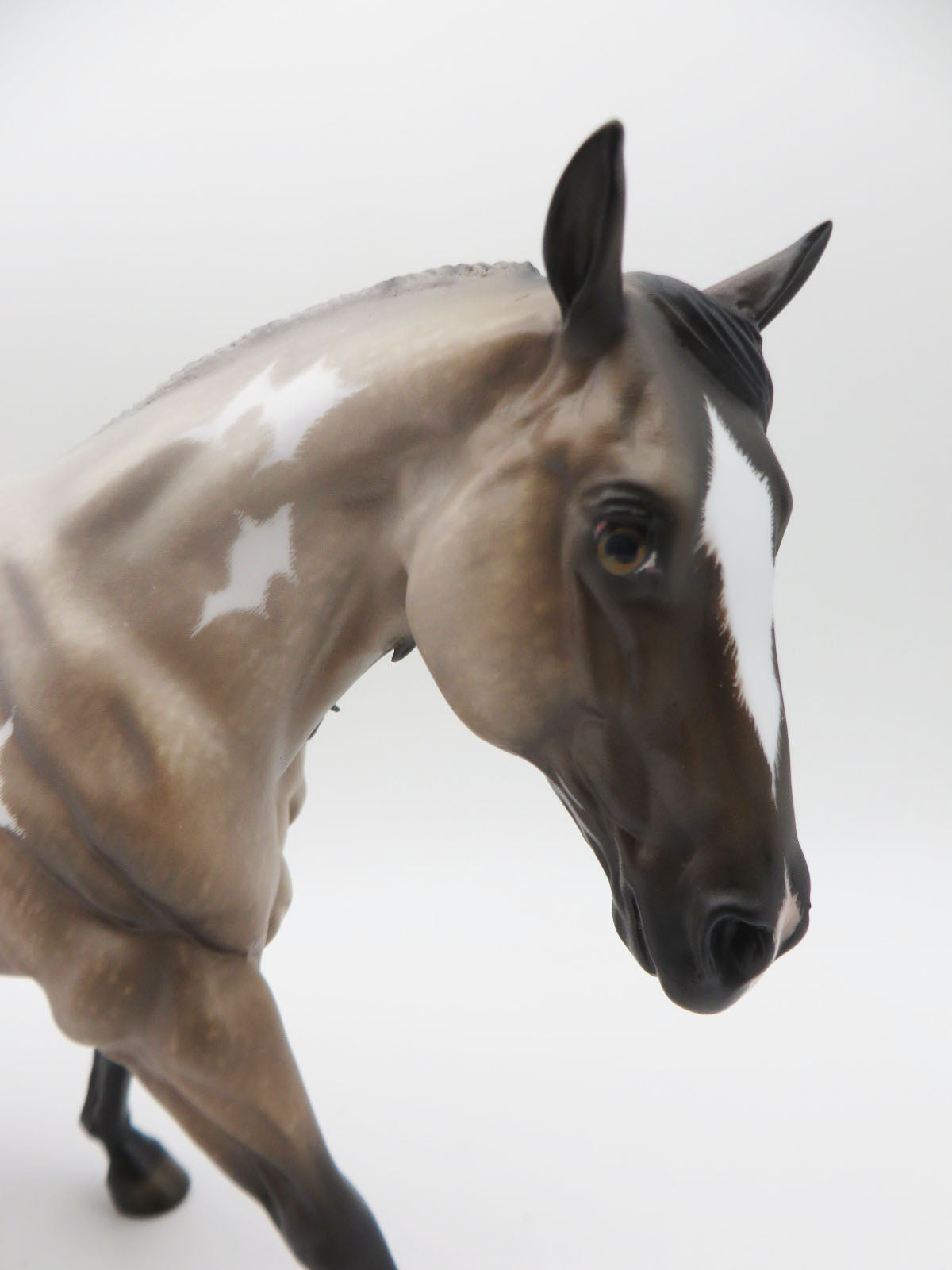 Turn It Up  - OOAK - Bay Roan Overo Running Stock Horse By Shery Leisure - Best Offers 2/12/23 P&amp;C 23