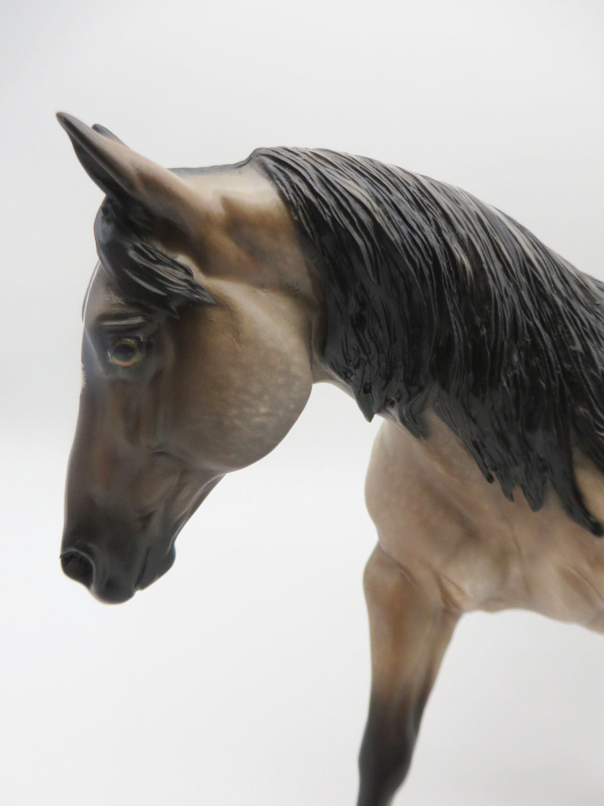 Turn It Up  - OOAK - Bay Roan Overo Running Stock Horse By Shery Leisure - Best Offers 2/12/23 P&amp;C 23