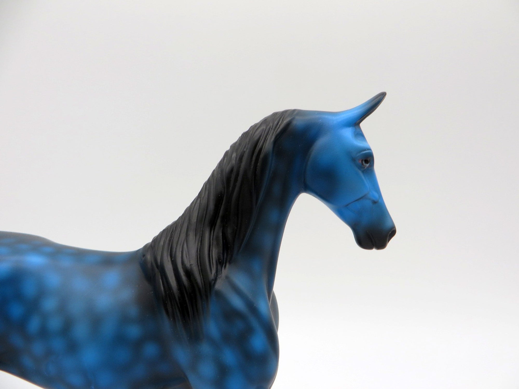 Turtle-LE-5 Deco Saddlebred Painted By Ellen Robbins 5/28/21