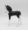 Tux-OOAK Black &amp; White Kitty Arabian Foal By Jess Hamill P&amp;C 23