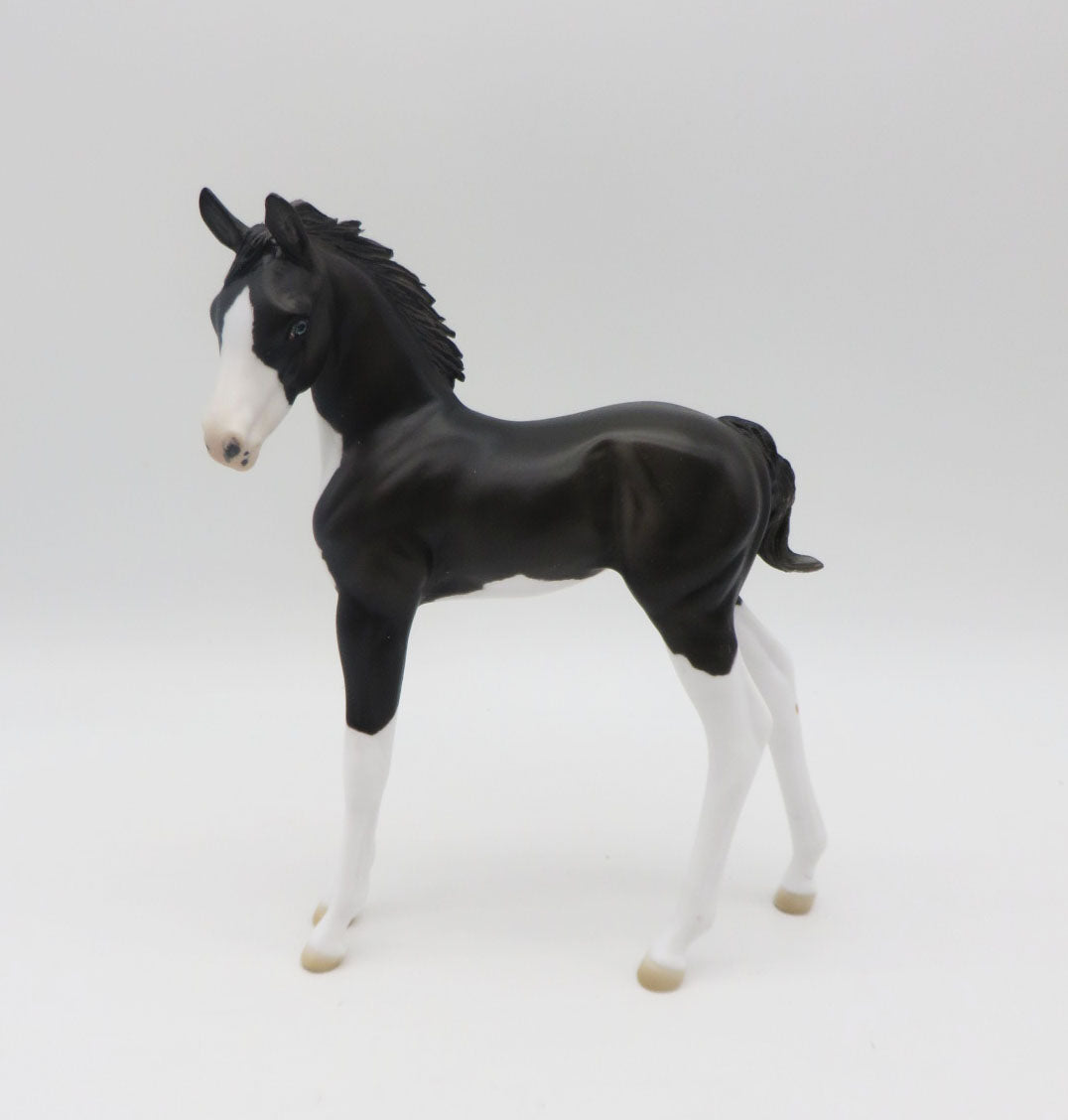 Tux-OOAK Black & White Kitty Arabian Foal By Jess Hamill P&C 23