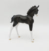 Tux-OOAK Black &amp; White Kitty Arabian Foal By Jess Hamill P&amp;C 23