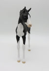 Tux-OOAK Black &amp; White Kitty Arabian Foal By Jess Hamill P&amp;C 23