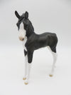 Tux-OOAK Black &amp; White Kitty Arabian Foal By Jess Hamill P&amp;C 23