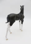 Tux-OOAK Black &amp; White Kitty Arabian Foal By Jess Hamill P&amp;C 23