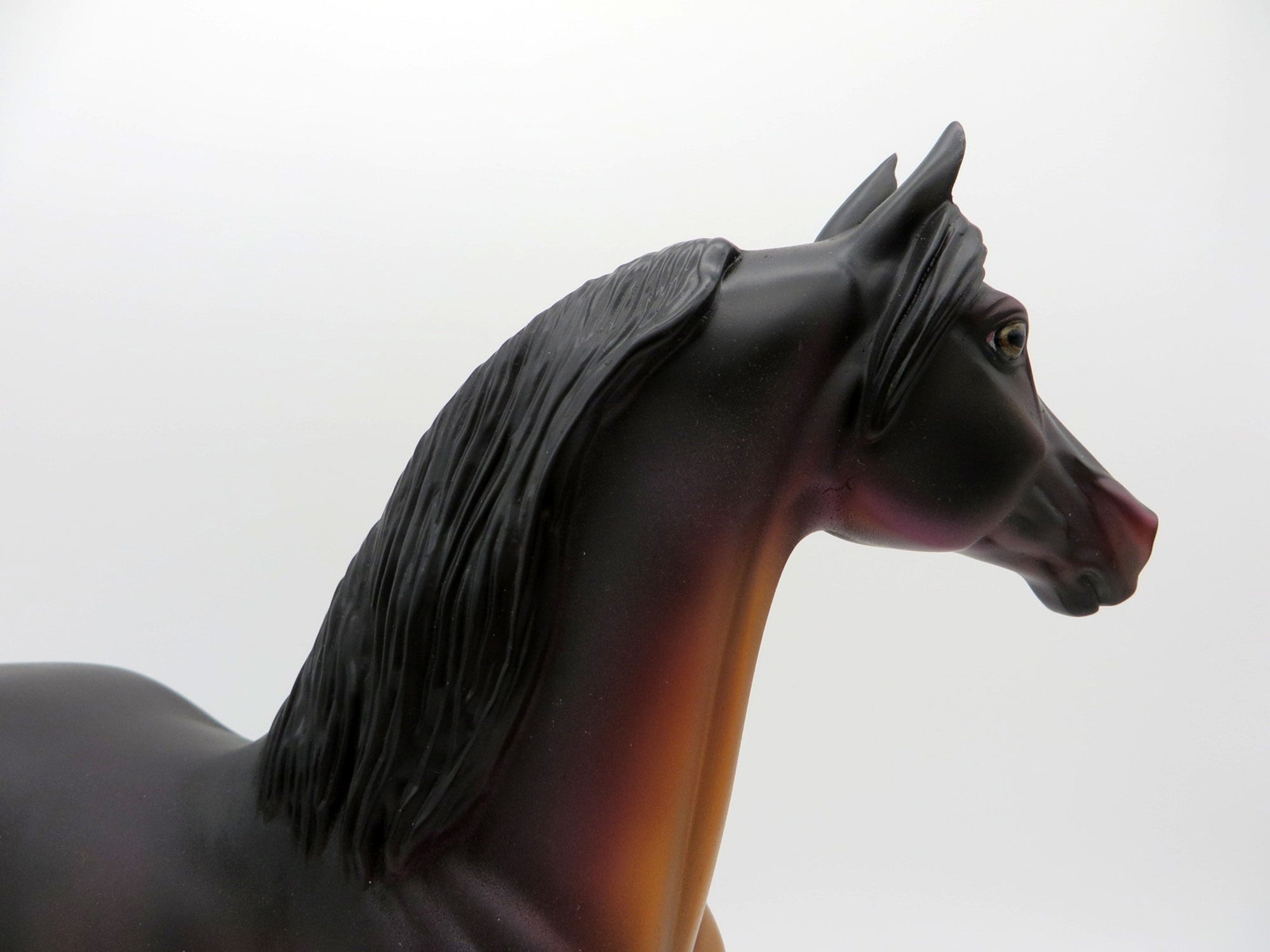 Twain-OOAK Bay Morgan By Jas Fanning EQ 2021