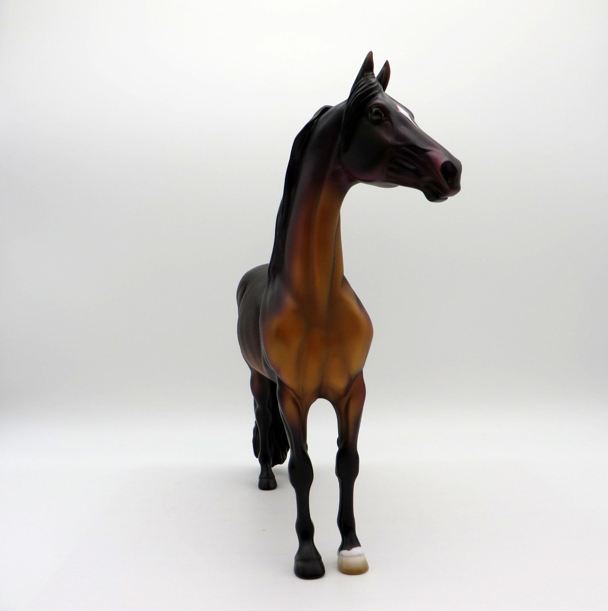 Twain-OOAK Bay Morgan By Jas Fanning EQ 2021